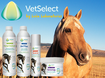 VetSelect by Loën pour chevaux